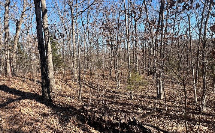 Pictures of Land, Industrial, Multifamily property located at Thong Tree Road, Camdenton, MO 65020 for sales - image #1