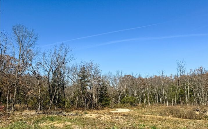 Pictures of Land, Multifamily property located at 159.63 acres Hwy N, Stover, MO 65084 for sales - image #1