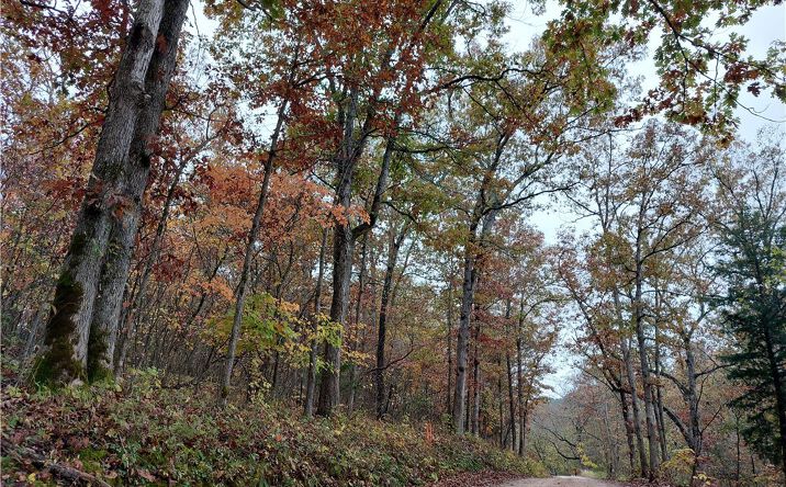 Pictures of Land, Multifamily property located at 28695 Clearwater Road, Stover, MO 65078 for sales - image #1