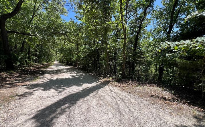 Pictures of Land, Industrial property located at TBD Paradise Lane, Osage Beach, MO 65065 for sales - image #1