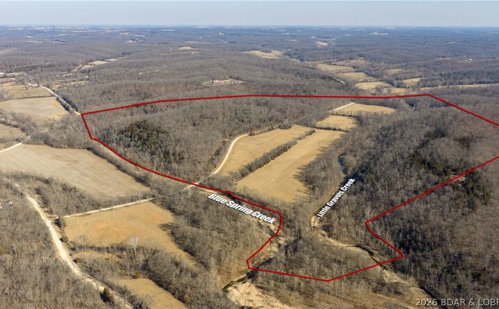 Pictures of Land property located at TBD Witt Road, Eldon, MO 65026 for sales - image #1