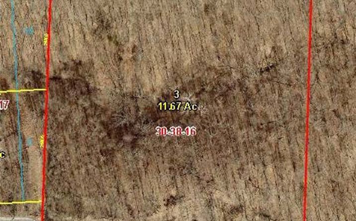 Pictures of Land, Multifamily property located at TBD Caulfield Avenue, Camdenton, MO 65020 for sales - image #1