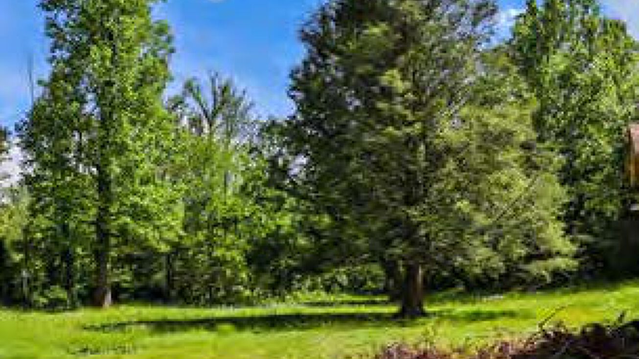 1114 Montreat Road, Black Mountain, NC 28711