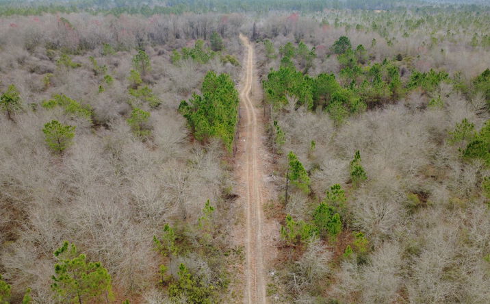 Pictures of Land property located at 0 Whitaker Rd, Waycross, GA 31503 for sales - image #1