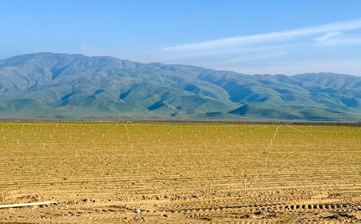 Pictures of Land property located at Tejon Hwy, Arvin, CA 93203 for sales - image #1