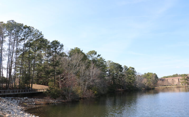 Pictures of Land property located at 95 Woodcross Dr, Columbia, SC 29212 for sales - image #1