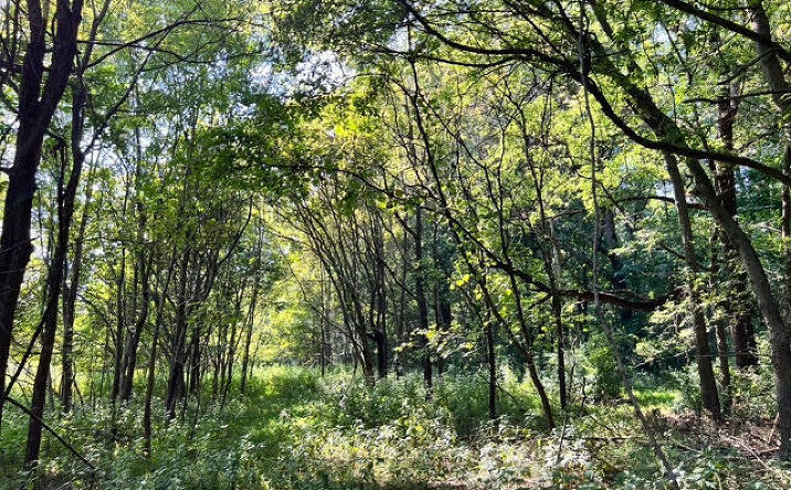 Pictures of Land property located at 2340 Bowers Store Rd, Siler City, NC 27344 for sales - image #1