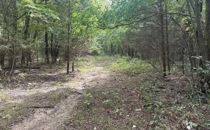 Pictures of Land property located at Palm Avenue, Muskogee, OK 74401 for sales - image #1