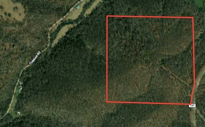 Pictures of Land property located at 000 State Highway 137, Willow Springs, MO 65793 for sales - image #1