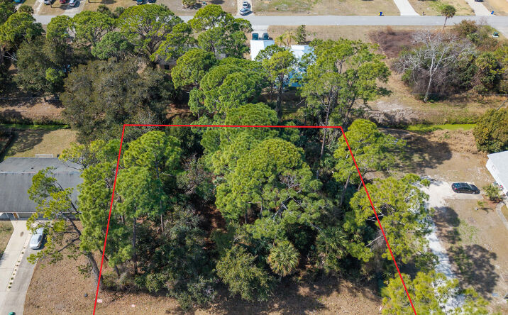 Pictures of Land, Multifamily property located at 2904 India Palm Drive, Edgewater, FL 32141 for sales - image #1