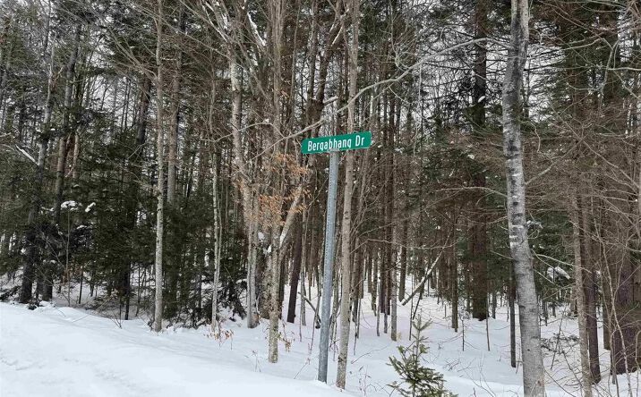 Pictures of Land property located at 326A Bergabhang Drive, Stamford, VT 05352 for sales - image #1