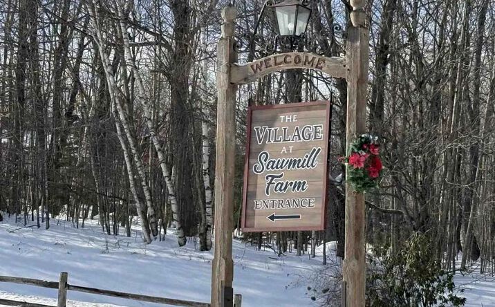 Pictures of Land property located at 19 Stone Ridge Loop, Dover, VT 05356 for sales - image #1