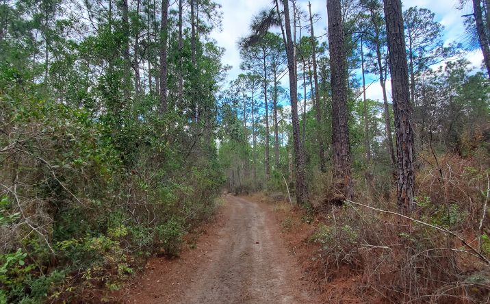 Pictures of Land property located at 12th Ave, DeLand, FL 32724 for sales - image #1