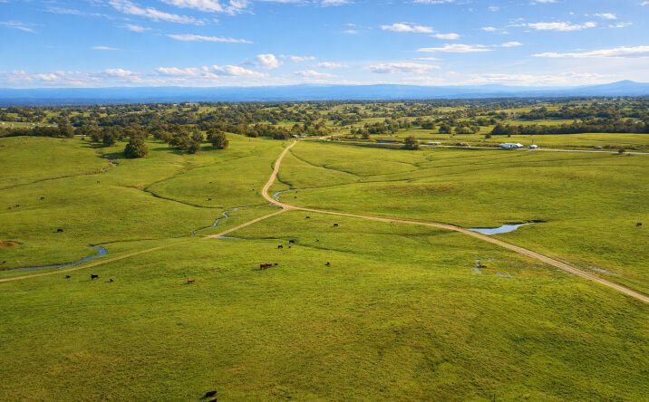 Pictures of Land property located at Nine Mile Hill Ranch Red Bluff, CA 96080, Red Bluff, CA 96080 for sales - image #1