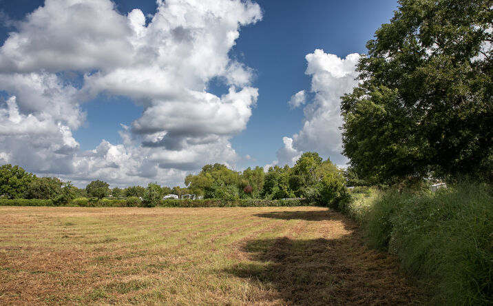 Pictures of Land property located at TBD Red Fox Road, Tomball, TX 77377 for sales - image #1
