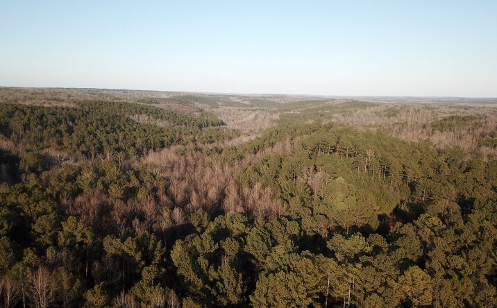 Pictures of Land property located at Mt Zion Church Rd, Whitesburg, GA 30185 for sales - image #1