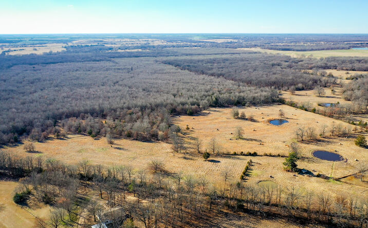 Pictures of Land property located at 1200 County Rd 1255, Detroit, TX 75436 for sales - image #1