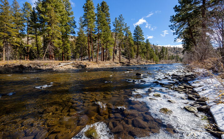 Pictures of Land property located at 5855 Serenity Lane, Conner, MT 59827 for sales - image #1