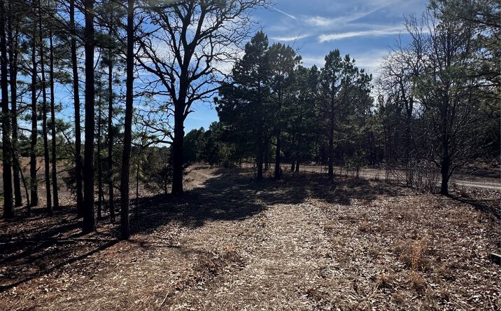 Pictures of Land property located at E 785 Road, Welling, OK 74471 for sales - image #1