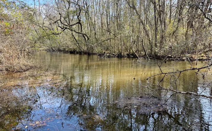 Pictures of Land property located at Georgia Rd, Butler, GA 31006 for sales - image #1