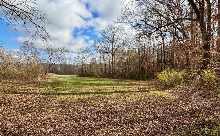 Pictures of Land property located at Jordan Bottoms Rd, Culloden, GA 31016 for sales - image #1