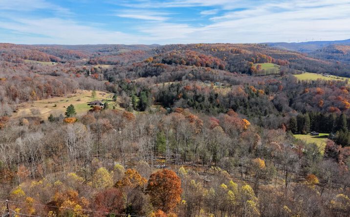 Pictures of Land property located at Jettsville Rd, Leivasy, WV 26676 for sales - image #1