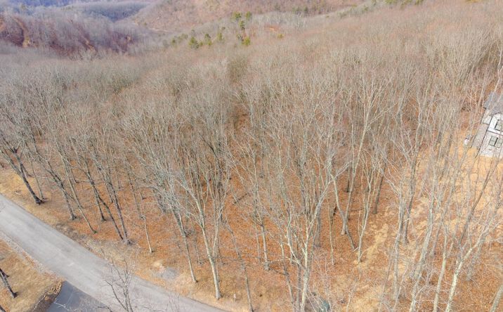 Pictures of Land property located at Lot 150 Withrow Landing, Caldwell, WV 24925 for sales - image #1