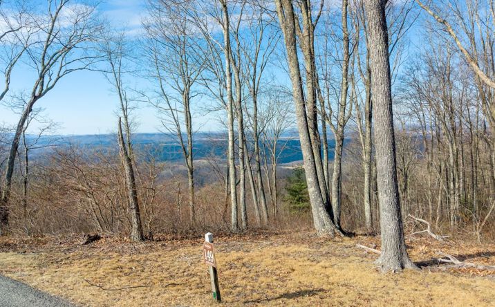 Pictures of Land property located at Lot 149 Withrow Landing, Caldwell, WV 24925 for sales - image #1