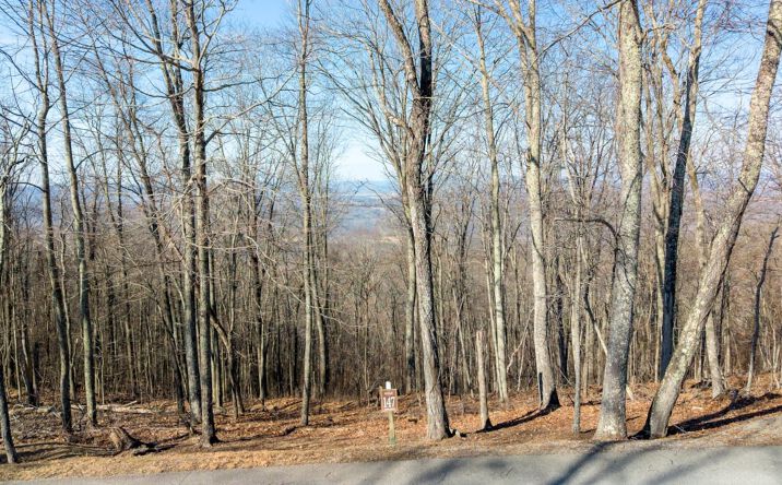 Pictures of Land property located at Lot 147 Withrow Landing, Caldwell, WV 24925 for sales - image #1