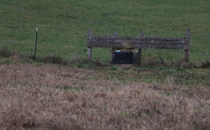 Pictures of Land property located at 0 Fisher Ridge Road, Horse Cave, KY 42749 for sales - image #1