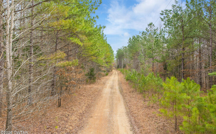 Pictures of Land property located at Lot 12 Kehrer Lane, Huntingdon, TN 38344 for sales - image #1