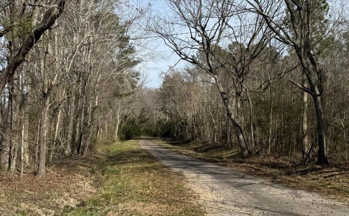 Pictures of Land, Hospitality, Industrial, Multifamily, Office, Special Purpose, Retail property located at 1 Planer Road, Edgefield, SC 29824 for sales - image #1