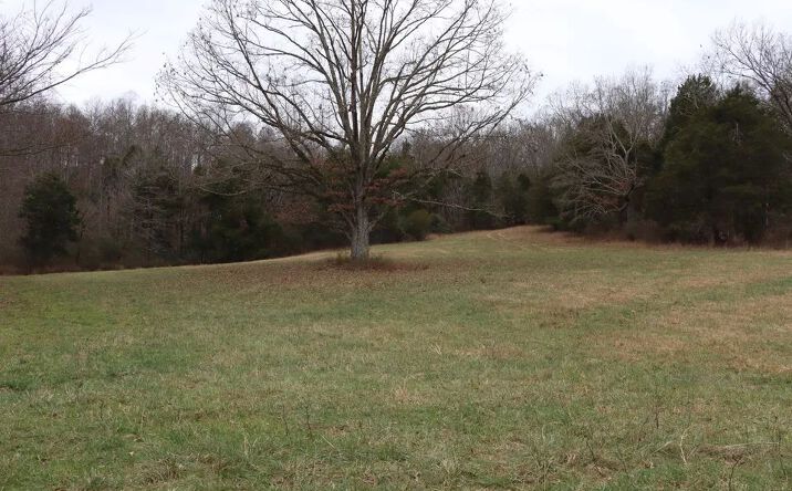 Pictures of Land property located at Fisher Ridge Rd, Horse Cave, KY 42749 for sales - image #1