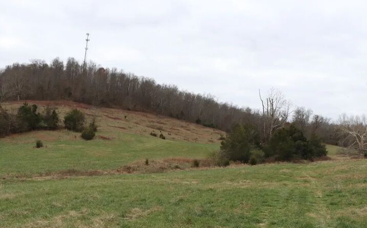 Pictures of Land property located at Fisher Ridge Rd, Horse Cave, KY 42749 for sales - image #1