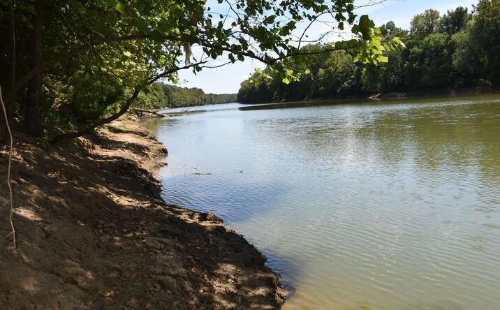 Pictures of Land property located at 0000 McGuyer Lane, Centertown, KY 42328 for sales - image #1