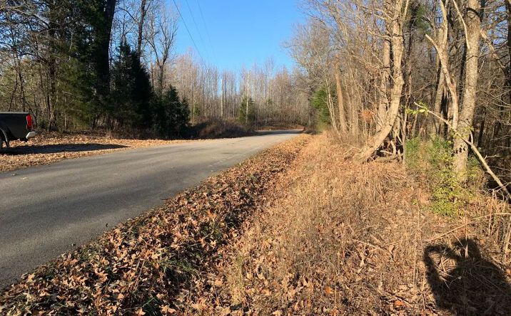 Pictures of Land property located at 0000 Ceralvo Lane, Centertown, KY 42328 for sales - image #1