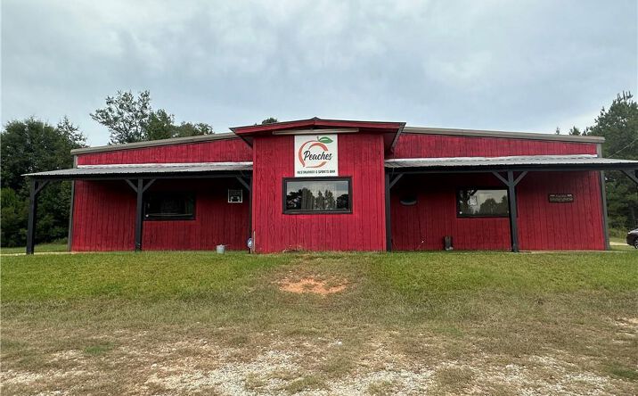 Pictures of Business for Sale, Retail property located at 12 Cottonton Road Road, Pittsview, AL 36867 for sales - image #1