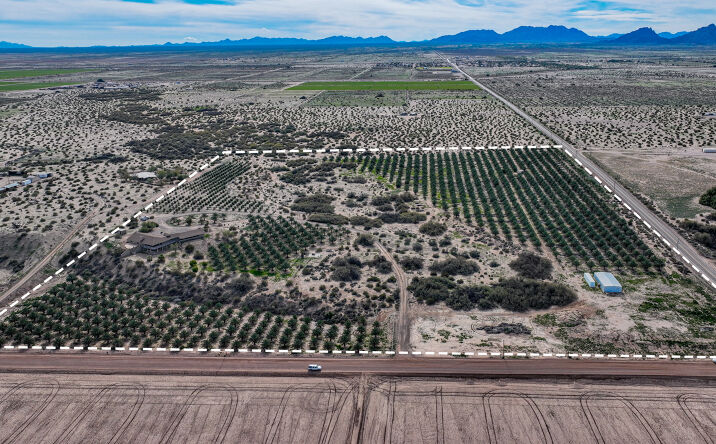 Pictures of Land property located at 40219 E County 7th St, Roll, AZ 85347 for sales - image #1