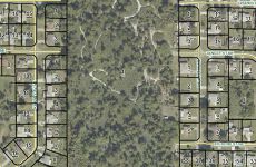29956320
