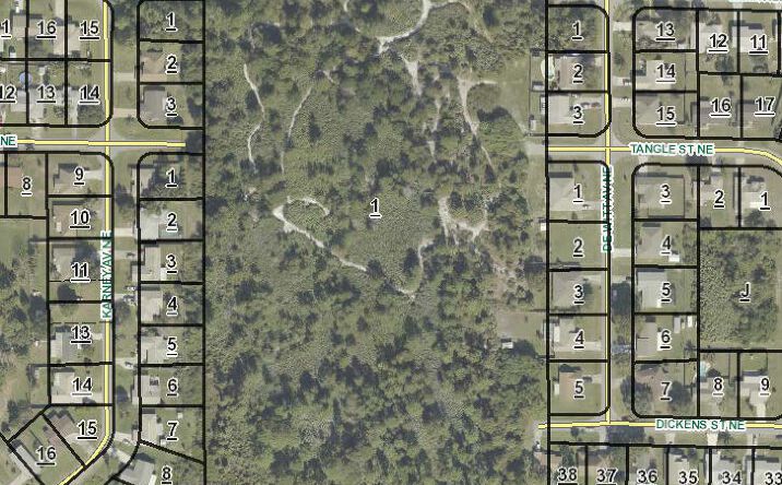 Pictures of Land property located at 2085 Fallon Blvd NE, Palm Bay, FL 32907 for sales - image #1