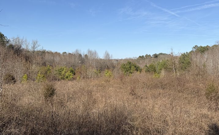 Pictures of Industrial, Retail, Land property located at 3600 Chesnee Hwy, Chesnee, SC 29323 for sales - image #1