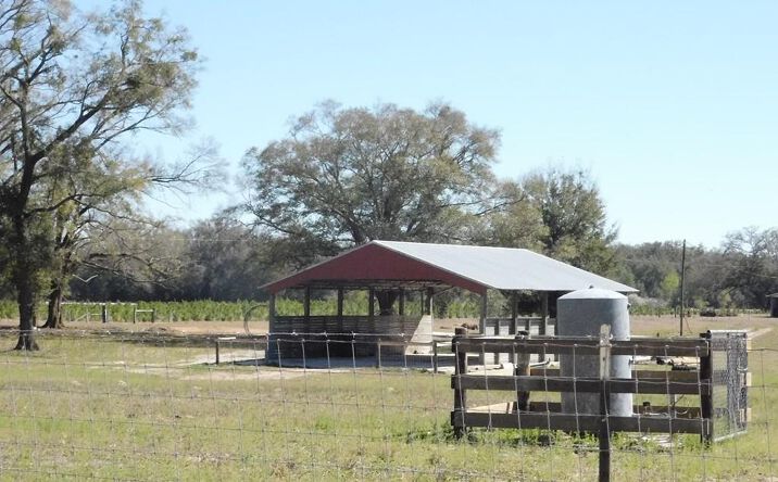 Pictures of Land property located at 566 NE Magnolia, Branford, FL 32008 for sales - image #1