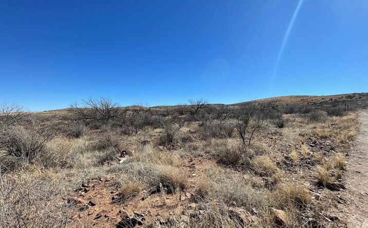 Pictures of Land property located at Tract114 Hwy 90, Alpine, TX 79830 for sales - image #1
