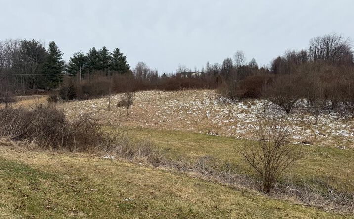 Pictures of Land property located at TBD Vintage View Road, Abingdon, VA 24210 for sales - image #1