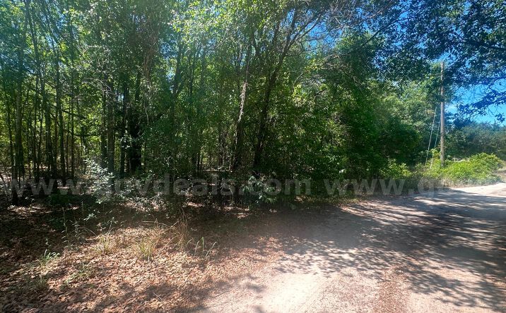 Pictures of Land property located at NW 12th St, Ocala, FL 34482 for sales - image #1