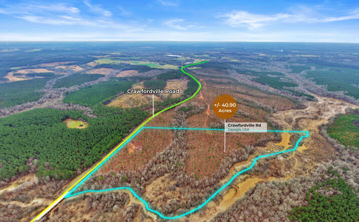 Pictures of Land property located at GA-22, Lexington, GA 30648 for sales - image #1