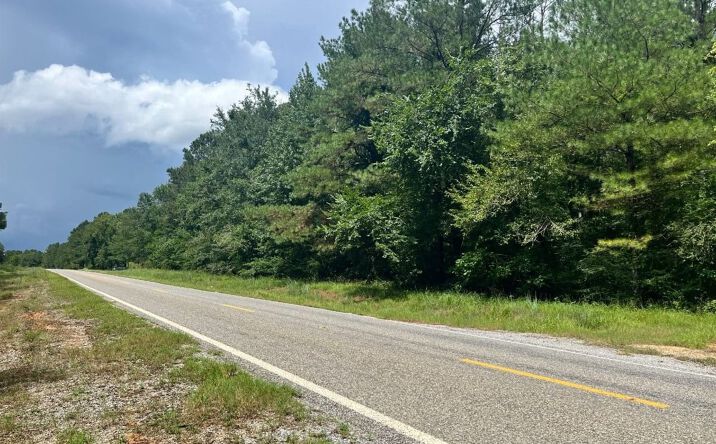 Pictures of Land property located at 000 Highway 505, Lawrence, MS 39336 for sales - image #1