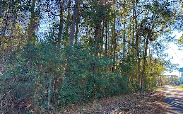 Pictures of Land property located at Harvey-Pitman St, Crawfordville, FL 32327, Harvey-Pitman St, Crawfordville, FL 32327 for sales - image #1