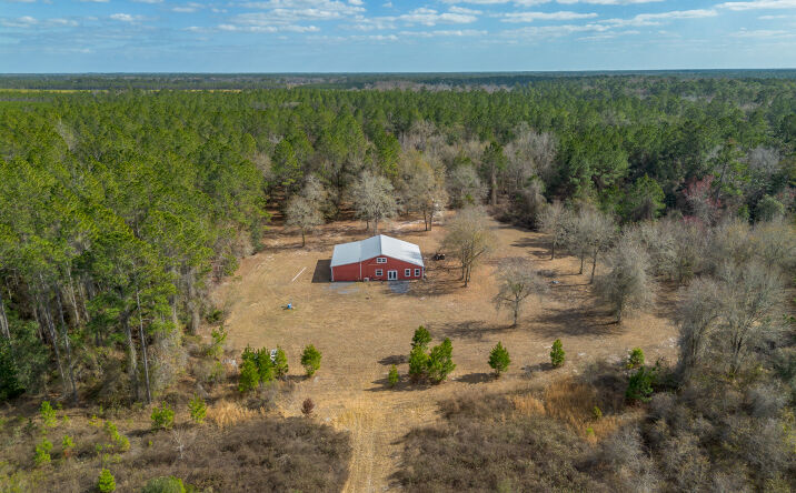 Pictures of Land property located at 12321 Highway 185, Saint George, GA 31562 for sales - image #1