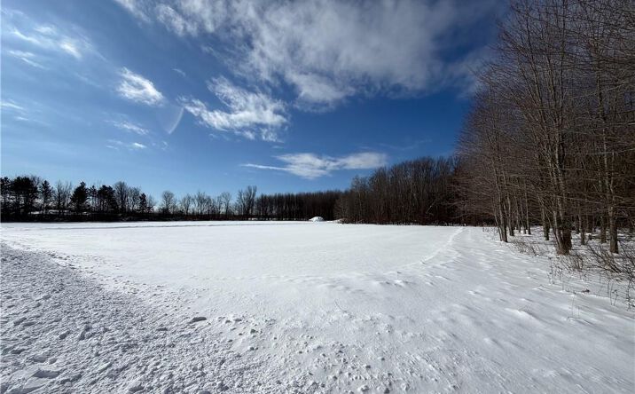 Pictures of Land property located at Carpenter Road Evans, Angola, NY 14006 for sales - image #1